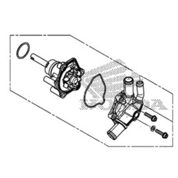 Pompe à Eau Honda CBR 500R
