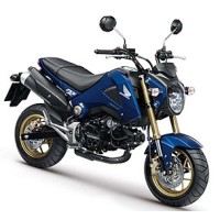 Pièces Origine et Accessoires Honda MSX GROM 125