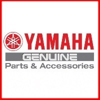 Genuine Parts Yamaha YZF R3 2019/21