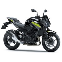 Z250 2019/22