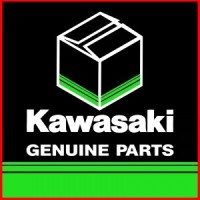 I første omgang pegefinger forklædning Kawasaki Z250 2019 2020 2021 2022 OEM Genuine Spare Parts and Custom  Accessories