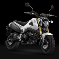 MSX GROM 125 2013/15