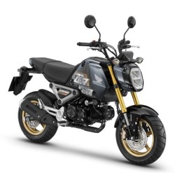 OEM Genuine Spare and Custom Parts Honda MSX GROM 125 2021