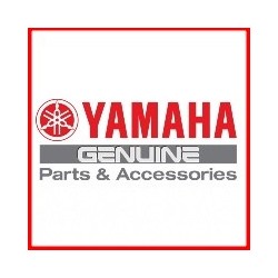 Genuine Parts Yamaha YZF R15 / R15M 2022 2023