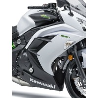 Pièces Carénage Avant écope Origine Kawasaki Er6f Ninja 650R